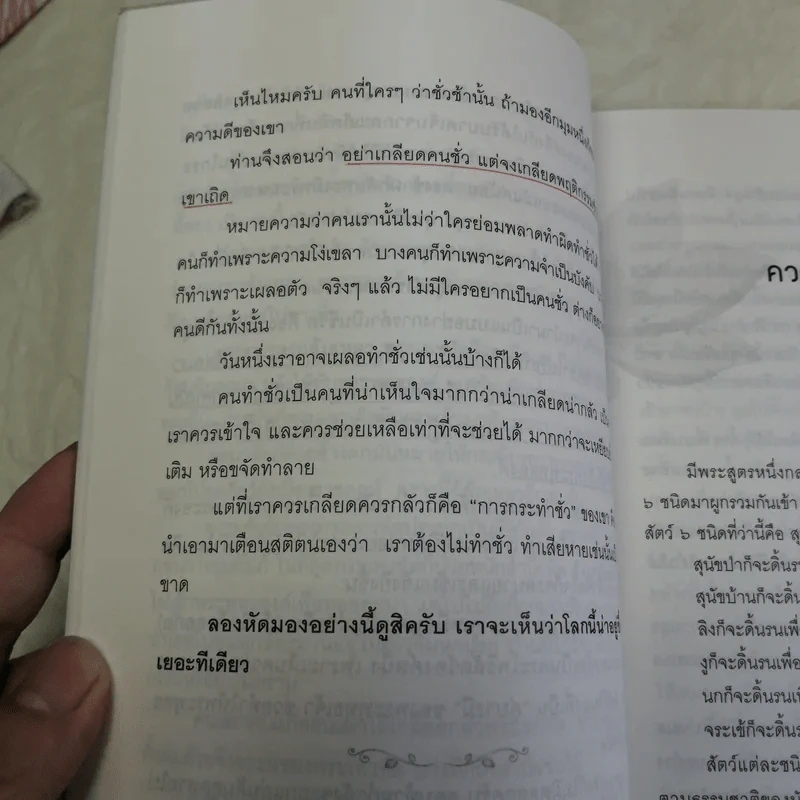สวนทางนิพพาน - เสฐียรพงษ์ วรรณปก รูปที่ 13