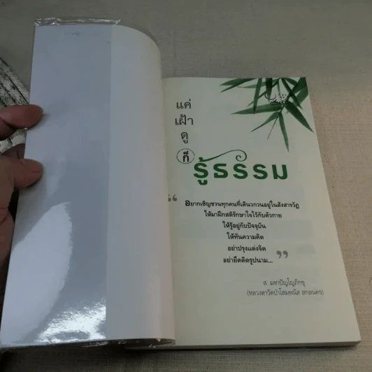 แค่เฝ้าดูก็รู้ธรรม - ส.มหาปัญโญภิกขุ รูปที่ 6