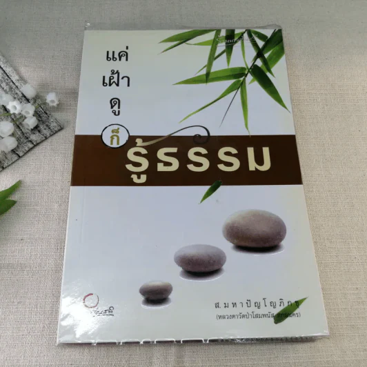 แค่เฝ้าดูก็รู้ธรรม - ส.มหาปัญโญภิกขุ รูปที่ 1