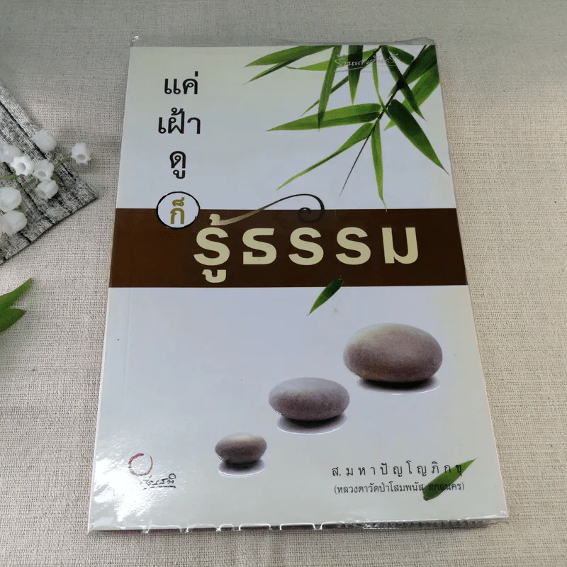 แค่เฝ้าดูก็รู้ธรรม - ส.มหาปัญโญภิกขุ รูปที่ 1