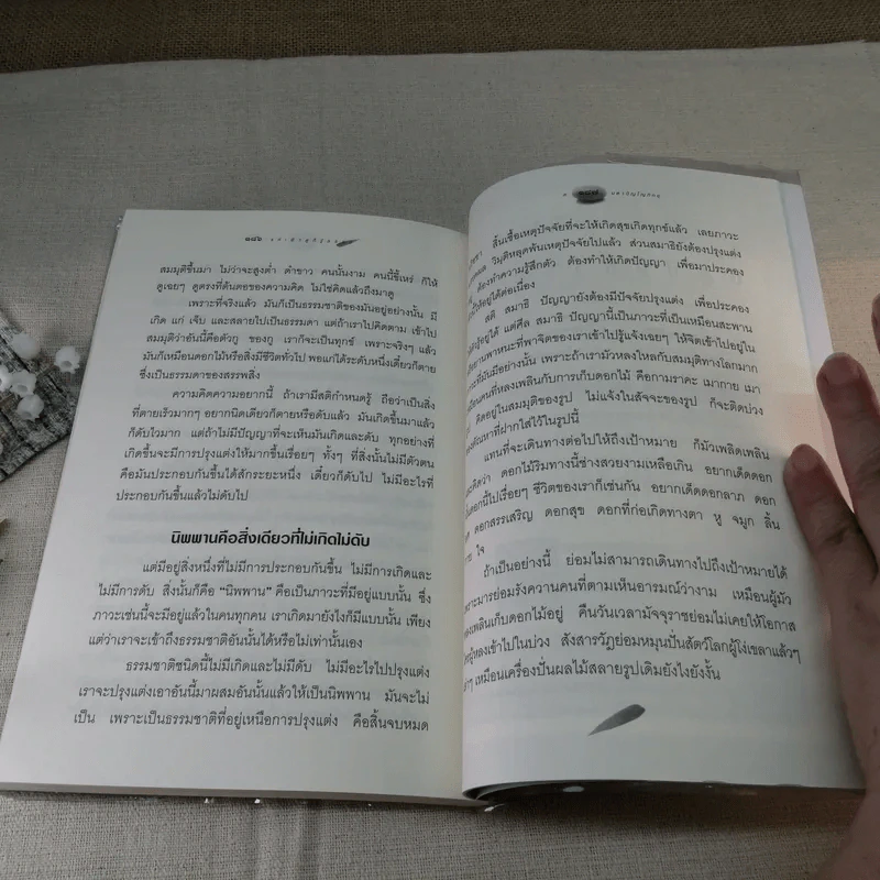 แค่เฝ้าดูก็รู้ธรรม - ส.มหาปัญโญภิกขุ รูปที่ 14