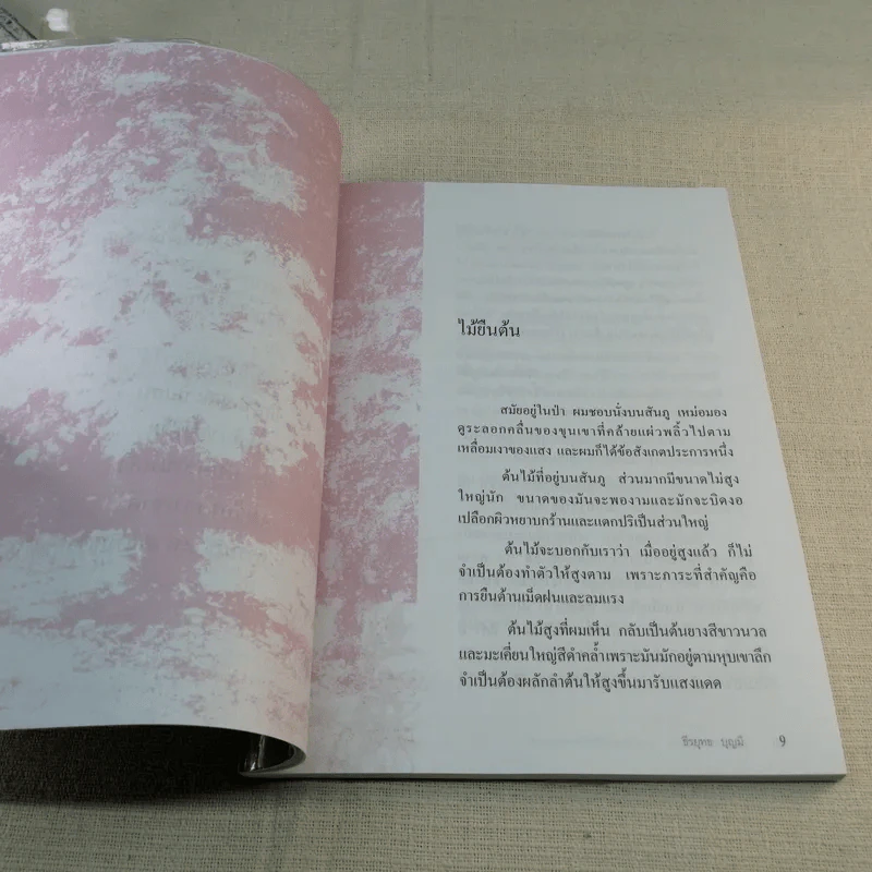 การเดินทางในจิตใจ บทตริตรองชีวิตและธรรมชาติ - ธีรยุทธ บุญมี รูปที่ 9