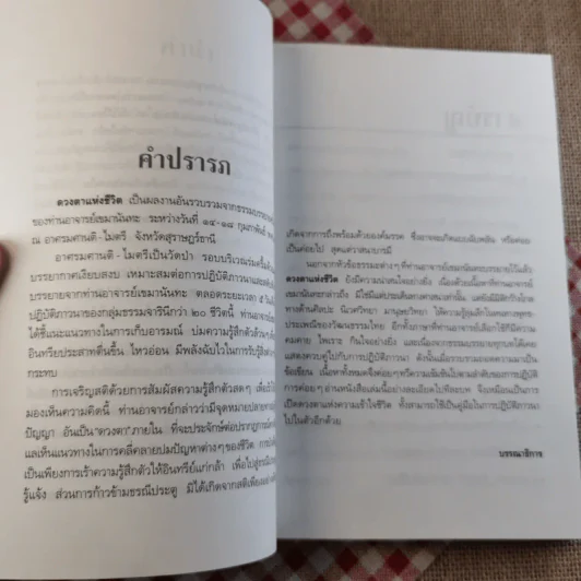 ดวงตาแห่งชีวิต - เขมานันทะ รูปที่ 10