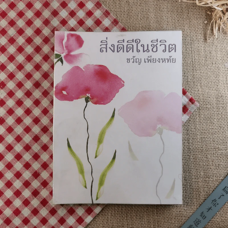 สิ่งดีดีในชีวิต - ขวัญ เพียงหทัย รูปที่ 1