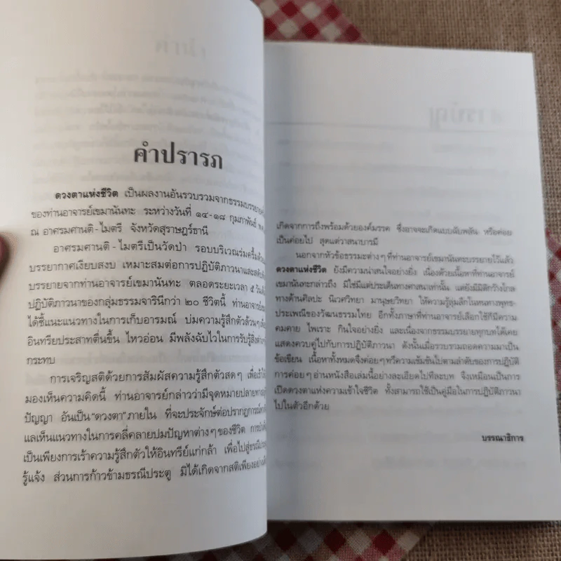 ดวงตาแห่งชีวิต - เขมานันทะ รูปที่ 10