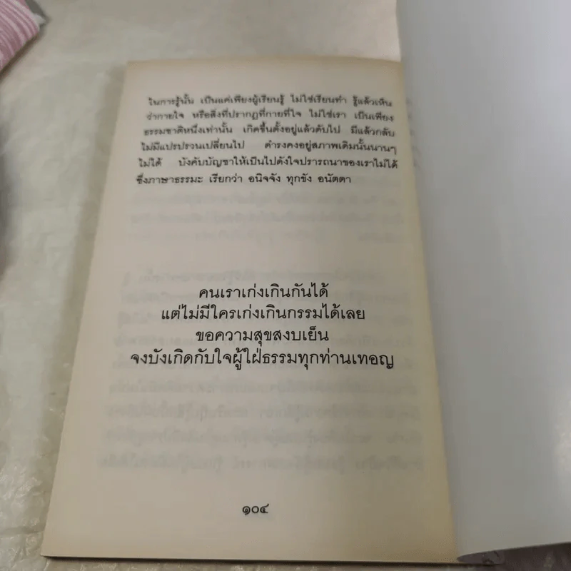 สอนแม่หัดปฏิบัติธรรม - ธีรยุทธ เวชเจริญยิ่ง รูปที่ 10
