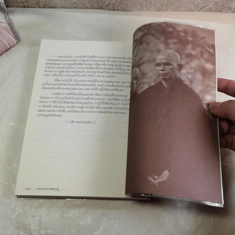ของฝากจากหลวงปู่ - ติช นัท ฮันห์ รูปที่ 15