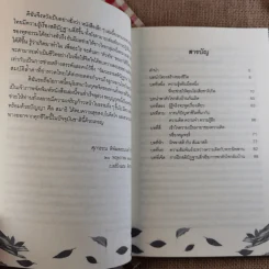 รู้เท่านี้ ก็พอแล้ว (พาตัวใจกลับบ้านกันเถิด) - ศุภวรรณ พิพัฒพรรณวงศ์ กรีน รูปที่ 9