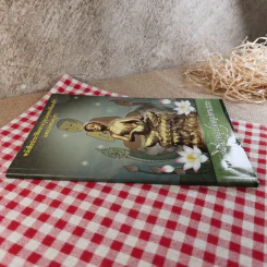 หนังสือประวัติหลวงปู่อุปคุตอรหันตเจ้าและบทสวดบูชา พระกีสนาคอุปคุตมหาเถระ รูปที่ 3