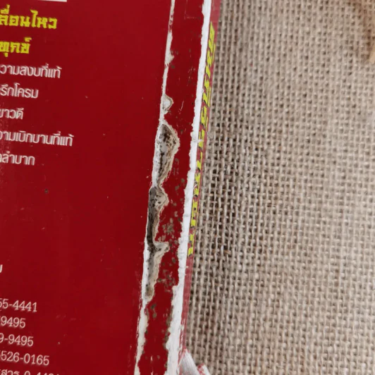 คัมภีร์รากผัก - หงยิ่งหมิง รูปที่ 3