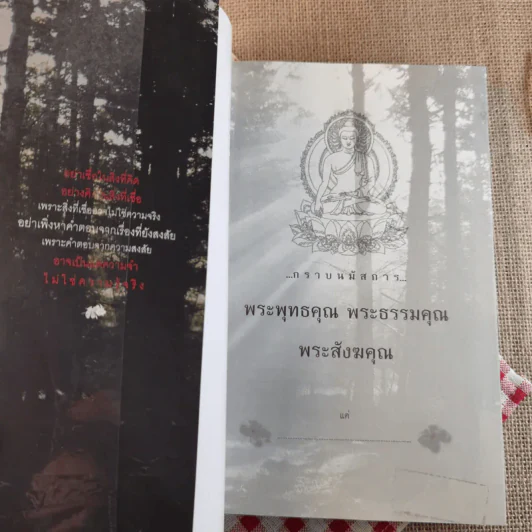 เรื่องจริงที่ยังสงสัยบอกได้ในชาตินี้เท่านั้น เล่ม 2 - จุติมา รูปที่ 7