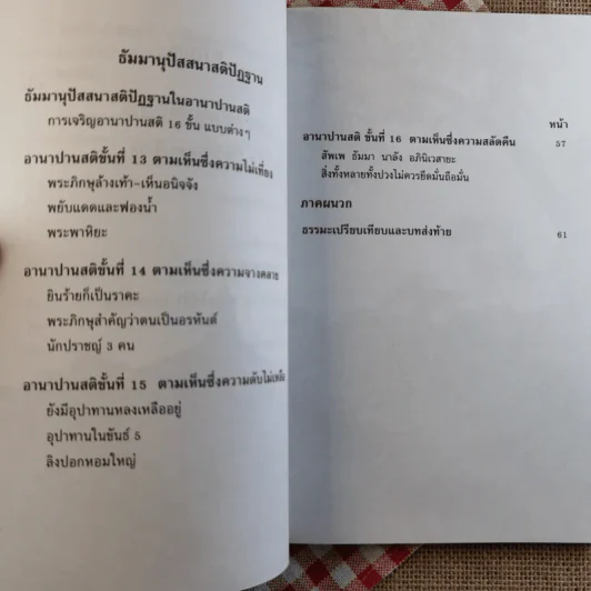 อานาปานสติ : วิถีแห่งความสุข 3 ขั้นที่ 9-16 - พระอาจารย์มิตซูโอะ คเวสโก รูปที่ 11