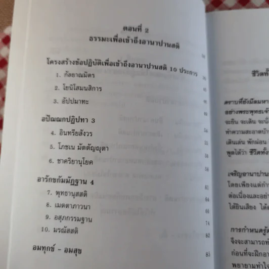 อานาปานสติ : วิถีแห่งความสุข 1 ชีวิตทั้งหมดให้อยู่ด้วยอานาปานสติ - พระอาจารย์มิตซูโอะ คเวสโก รูปที่ 10