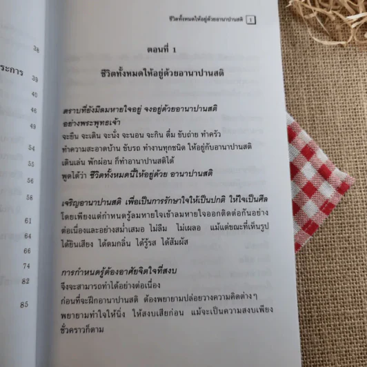 อานาปานสติ : วิถีแห่งความสุข 1 ชีวิตทั้งหมดให้อยู่ด้วยอานาปานสติ - พระอาจารย์มิตซูโอะ คเวสโก รูปที่ 11