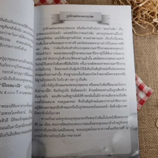 หนังสือประวัติหลวงปู่อุปคุตอรหันตเจ้าและบทสวดบูชา พระกีสนาคอุปคุตมหาเถระ รูปที่ 9