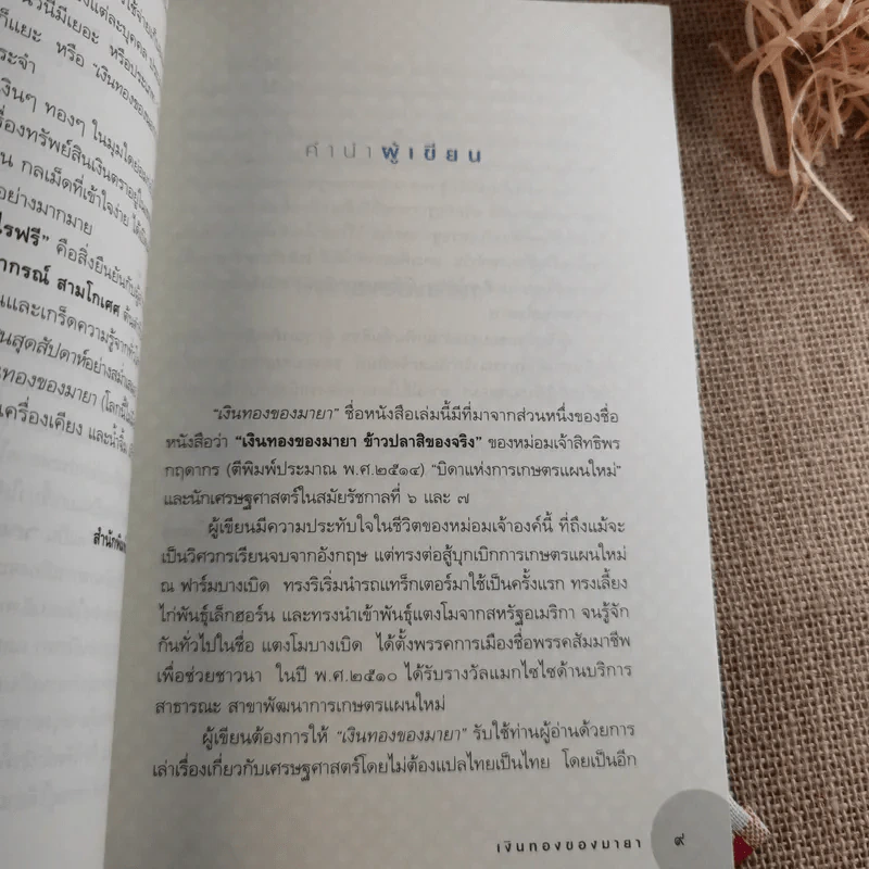 เงินทองของมายา - วรากรณ์ สามโกเศศ รูปที่ 12