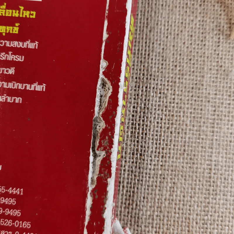 คัมภีร์รากผัก - หงยิ่งหมิง รูปที่ 3