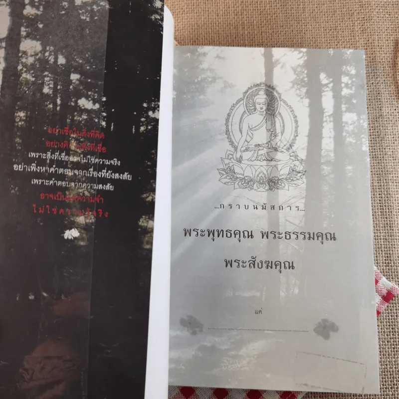 เรื่องจริงที่ยังสงสัยบอกได้ในชาตินี้เท่านั้น เล่ม 2 - จุติมา รูปที่ 7