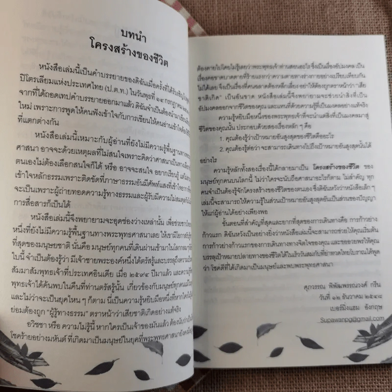 รู้เท่านี้ ก็พอแล้ว (พาตัวใจกลับบ้านกันเถิด) - ศุภวรรณ พิพัฒพรรณวงศ์ กรีน รูปที่ 10