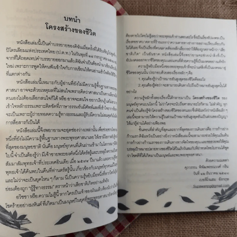 รู้เท่านี้ ก็พอแล้ว (พาตัวใจกลับบ้านกันเถิด) - ศุภวรรณ พิพัฒพรรณวงศ์ กรีน รูปที่ 10