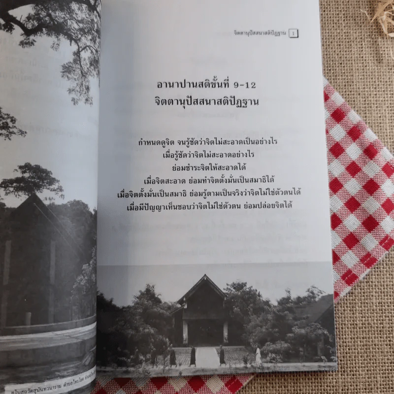 อานาปานสติ : วิถีแห่งความสุข 3 ขั้นที่ 9-16 - พระอาจารย์มิตซูโอะ คเวสโก รูปที่ 12