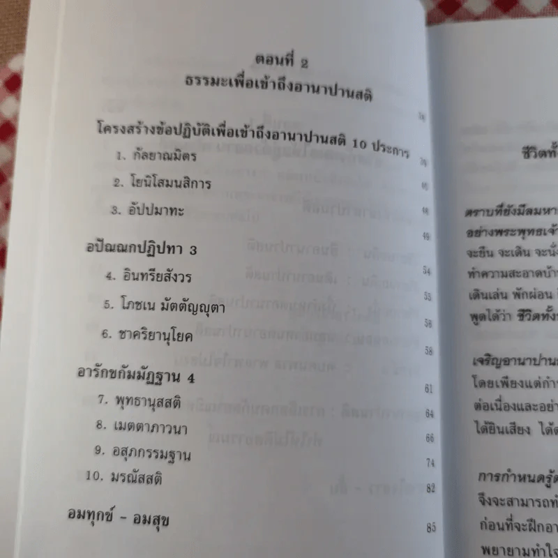 อานาปานสติ : วิถีแห่งความสุข 1 ชีวิตทั้งหมดให้อยู่ด้วยอานาปานสติ - พระอาจารย์มิตซูโอะ คเวสโก รูปที่ 10