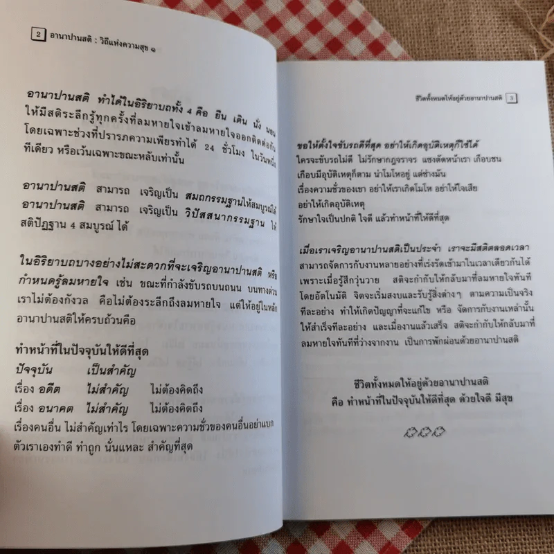อานาปานสติ : วิถีแห่งความสุข 1 ชีวิตทั้งหมดให้อยู่ด้วยอานาปานสติ - พระอาจารย์มิตซูโอะ คเวสโก รูปที่ 12