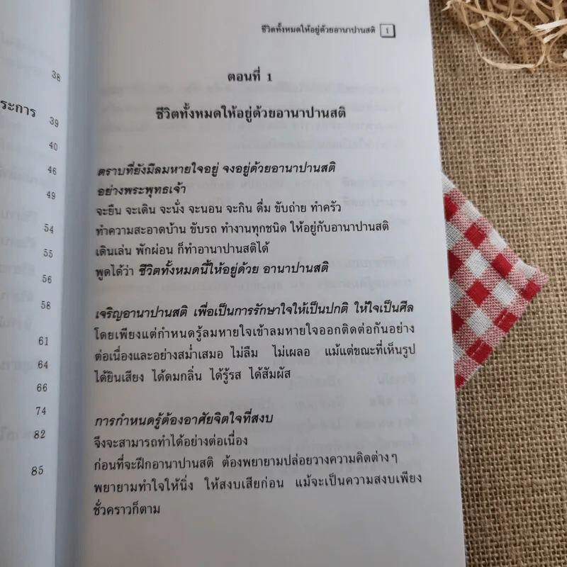 อานาปานสติ : วิถีแห่งความสุข 1 ชีวิตทั้งหมดให้อยู่ด้วยอานาปานสติ - พระอาจารย์มิตซูโอะ คเวสโก รูปที่ 11