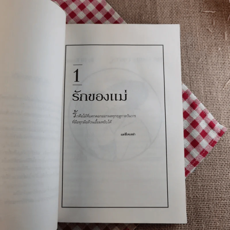พลังแห่งชีวิต แม่ Chicken Soup for the Mother's Soul - งามพรรณ เวชชาชีวะ แปล รูปที่ 8