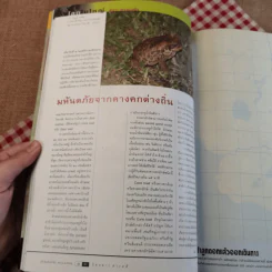 สารคดี ปีที่ 18 ฉบับที่ 214 ธ.ค.2545 modern dogs รูปที่ 15