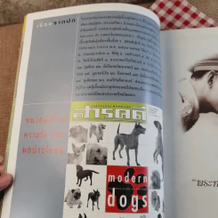 สารคดี ปีที่ 18 ฉบับที่ 214 ธ.ค.2545 modern dogs รูปที่ 8