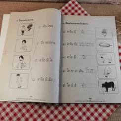 แบบฝึกหัด สาระการเรียนรู้ภาษาไทย ป.1 เล่ม 1 รูปที่ 13