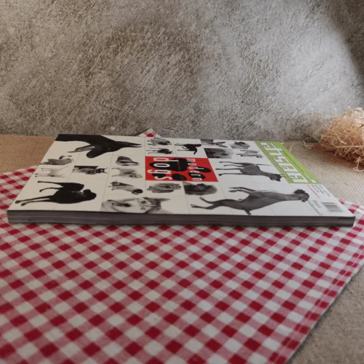 สารคดี ปีที่ 18 ฉบับที่ 214 ธ.ค.2545 modern dogs รูปที่ 5