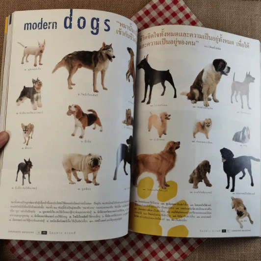 สารคดี ปีที่ 18 ฉบับที่ 214 ธ.ค.2545 modern dogs รูปที่ 18