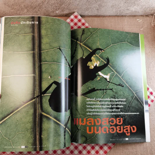 สารคดี ปีที่ 18 ฉบับที่ 219 ก.ค.2545 World Cup 2002 รูปที่ 21