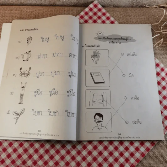 แบบฝึกหัด สาระการเรียนรู้ภาษาไทย ป.1 เล่ม 1 รูปที่ 12