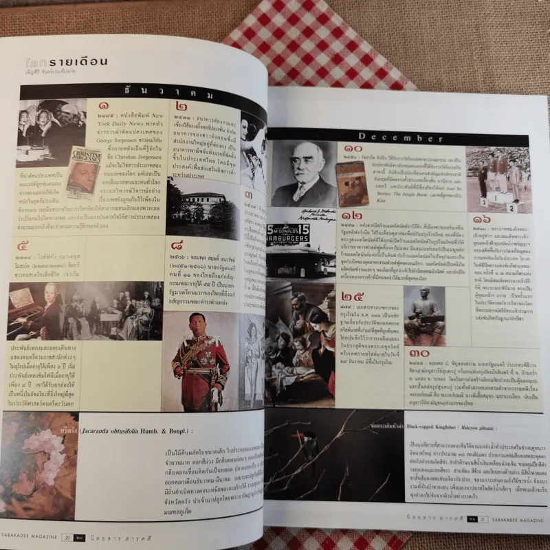 สารคดี ปีที่ 18 ฉบับที่ 214 ธ.ค.2545 modern dogs รูปที่ 13