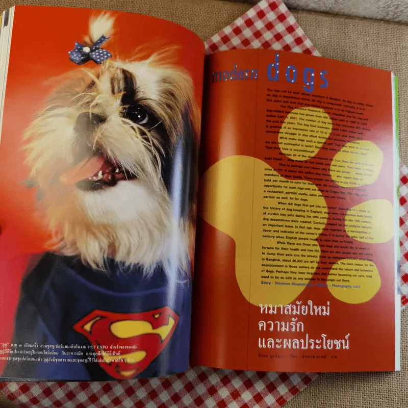 สารคดี ปีที่ 18 ฉบับที่ 214 ธ.ค.2545 modern dogs รูปที่ 17