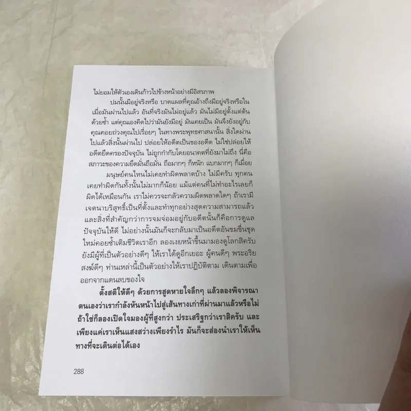 ปรากฏการณ์รู้ทันความทุกข์ - หนุ่มน้อยในแดนธรรม รูปที่ 10