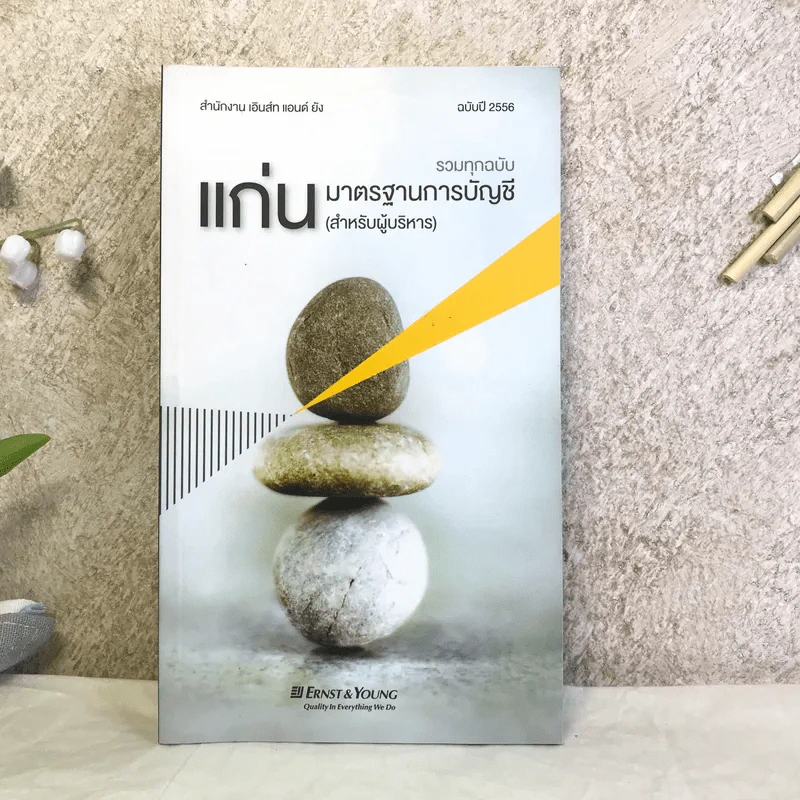 แก่นมาตรฐานการบัญชี (สำหรับผู้บริหาร) รวมทุกฉบับ รูปที่ 1