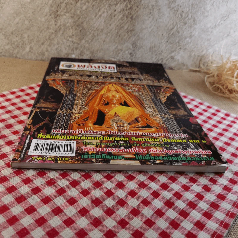 พลังจิต ปีที่ 1 ฉบับที่ 4 ก.พ.2551 รูปที่ 6