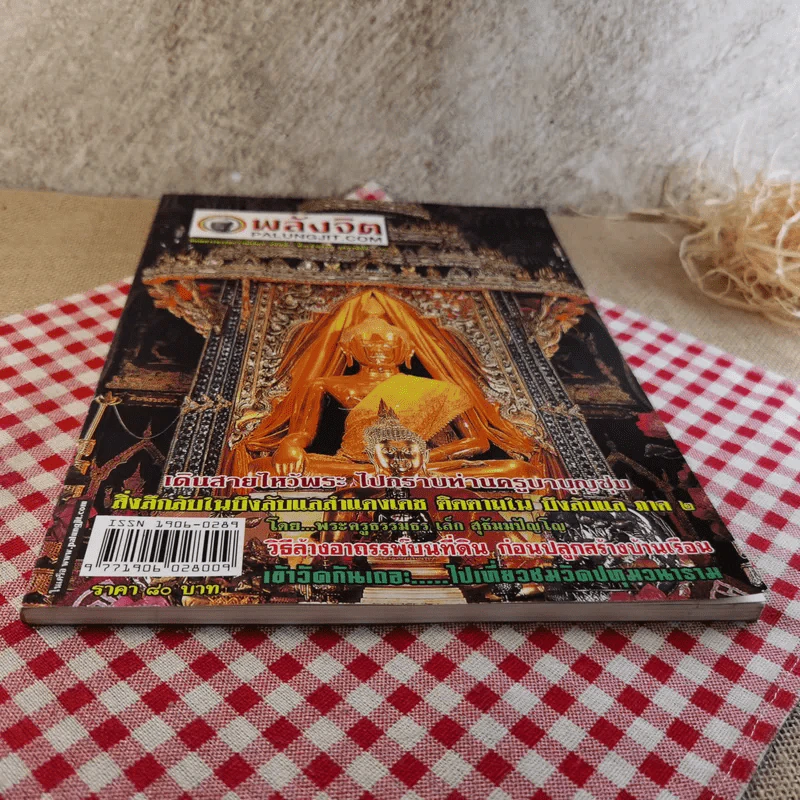 พลังจิต ปีที่ 1 ฉบับที่ 4 ก.พ.2551 รูปที่ 5