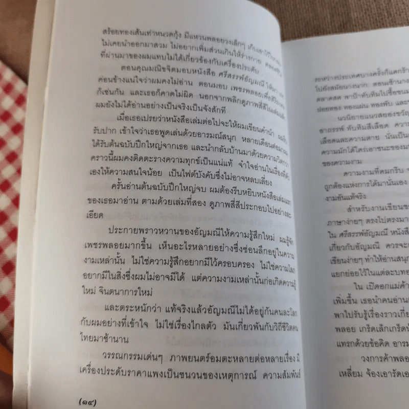 เปิดอกแม่ค้าพลอย - มณิขจิต รูปที่ 15