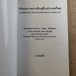เห็ดและราขนาดใหญ่ในประเทศไทย - รศ.ดร.เกษม สร้อยทอง รูปที่ 7