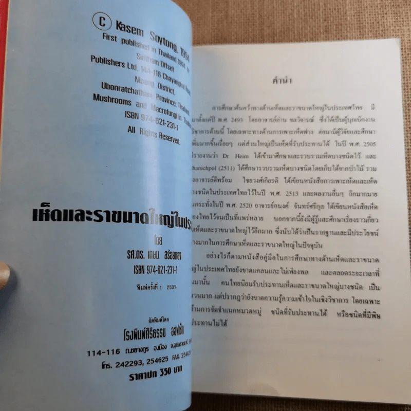 เห็ดและราขนาดใหญ่ในประเทศไทย - รศ.ดร.เกษม สร้อยทอง รูปที่ 8