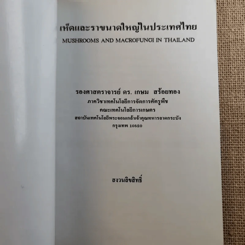 เห็ดและราขนาดใหญ่ในประเทศไทย - รศ.ดร.เกษม สร้อยทอง รูปที่ 7