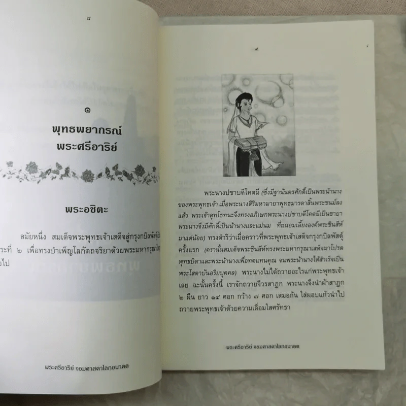 พระศรีอาริย์ จอมศาสดาโลกอนาคต - เจตสิก รูปที่ 11
