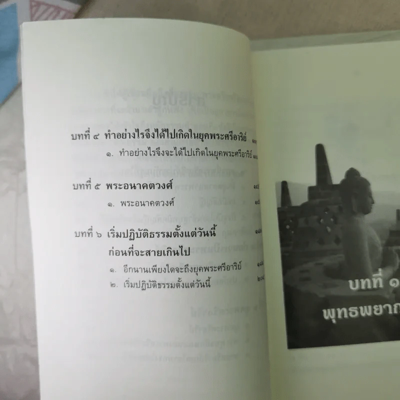 พระศรีอาริย์ จอมศาสดาโลกอนาคต - เจตสิก รูปที่ 10