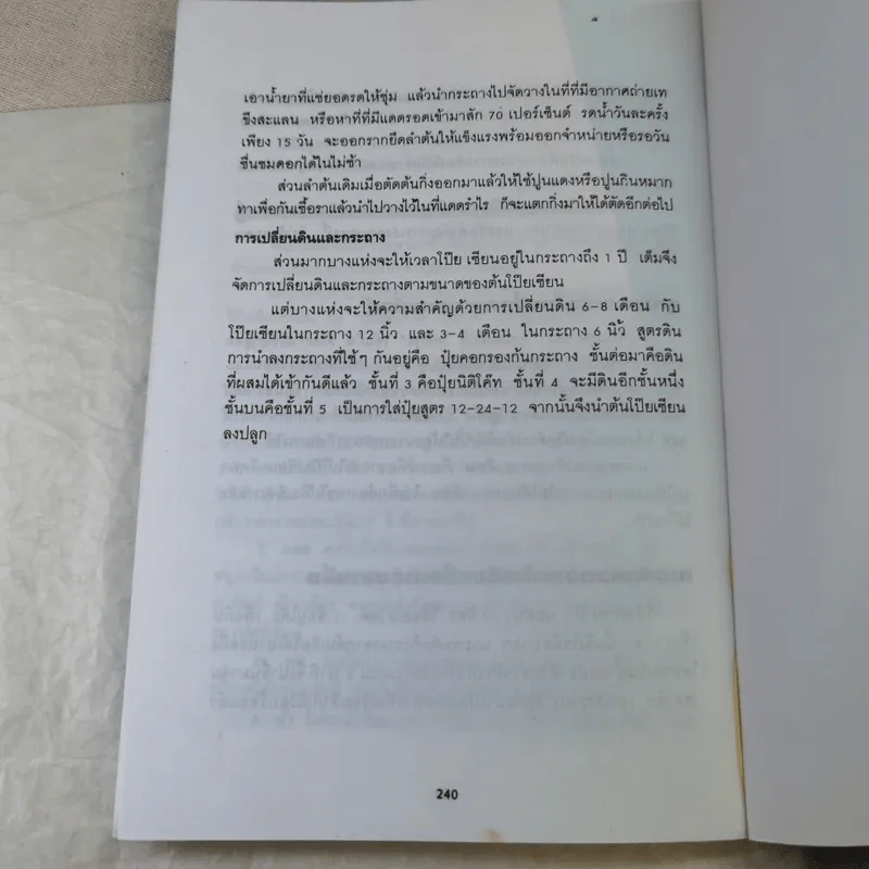 โป๊ยเซียน - เจริญ สุขพงษ์ รูปที่ 17