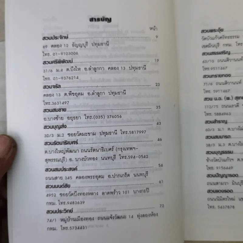 โป๊ยเซียน - เจริญ สุขพงษ์ รูปที่ 10